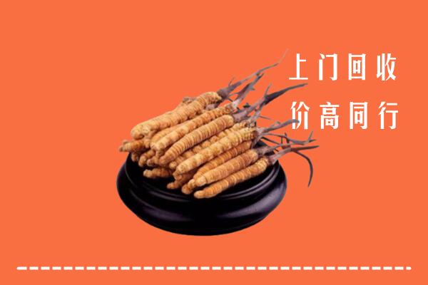 收购行情：七星区冬虫夏草回收多少钱每克