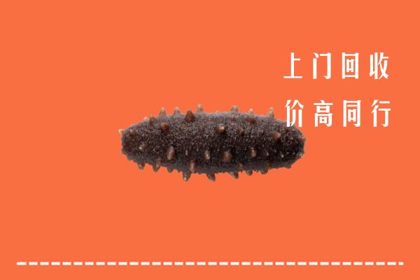 收购行情：七星区回收海参