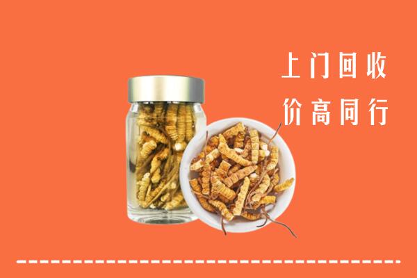 七星区回收冬虫夏草